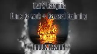 Test & Recognize [Flume Re-work + Reversed Beginning] [1 HOUR VERSION]