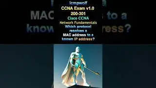 Cisco CCNA: What matches MAC to IP? - #icmpwolf #ciscoccna #protocols