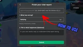 How to use New Roblox Report System