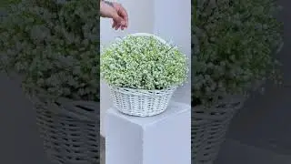 Ландыши - ландыши!