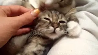 Муся и Буся ))))