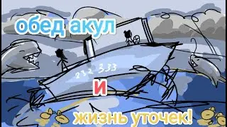 Мы плаваем на уточках !?! roblox SharkBite
