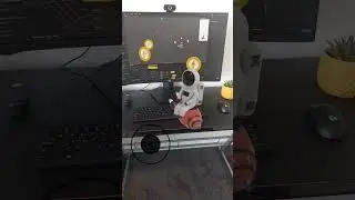 Say hello to this little guy! 🚀✨ Created in Meta Spark AR Studio #sparkar #augmentedreality #ar