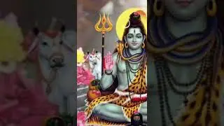 🙏🙏जय शिव शंकर #trading #shorts #ytshorts ✌️✌️👍👍🐚