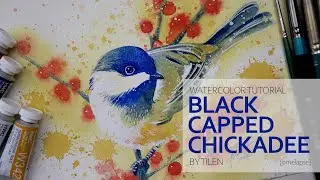 Tutorial video #98 – BLACK CAPPED CHICKADEE [timelapse]