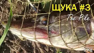 Ловля Щуки - Real Pike fishing #3