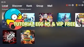 Egg ns install tutorial & free VIP