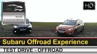 Анонс Subaru Offroad Experience от Чудаки Off-Road