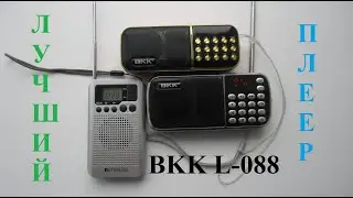 BKK L-088. Review of a multifunctional portable gadget. Radio, speaker, and media player.