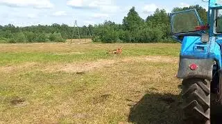 2023. gada 23. jūnijs