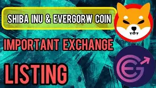 Shiba inu and Evergorw coin price up 20% after top crypto exchange listing