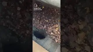The laugh is funny and creepy at the same time