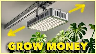 Grow LIGHT MOVERS save you BIG $$$