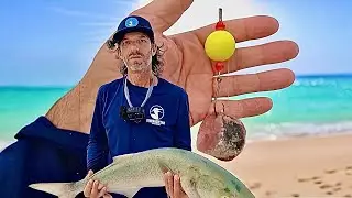 I Used Giant Floats to Catch Giant Fish Off The Beach.