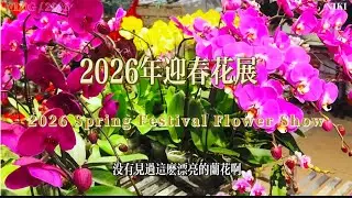 Vlog/2026 The annual Spring Festival Flower Show: A variety of exquisite orchids, anthuriums, and...