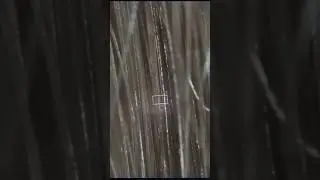 Zoomimg into human hair 