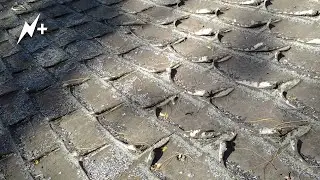 Old Roofing | Organic Vs Fiberglass