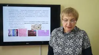 Владимцева Т.М. Первичная переработка субпродуктов
