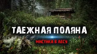Mysticism in the forest - Taiga glade - Mystical stories from life.