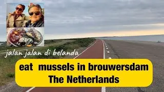 Eat Mussels in Brouwersdam - The Neterlands