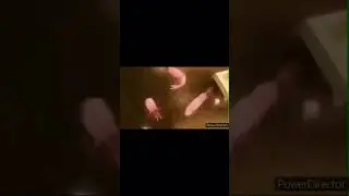 АХАПХПА 
