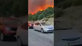 горит 🌲🌲лес  АБРАУ ДЮРСО