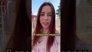 На какой срок оставляют животных в зоогостинице? Гостиница для животных Петрозаводск