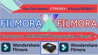 FILMORA10-How to put an ARROW in a Video? How to Close a Moving Object with a MOSAIC.