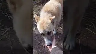 Обиделся!?