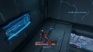 Random raw halo shenanigans