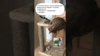 Плохое слово. Посмешней анекдот. 