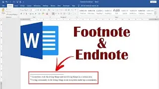 How to Insert Footnote and Endnote in Microsoft Word