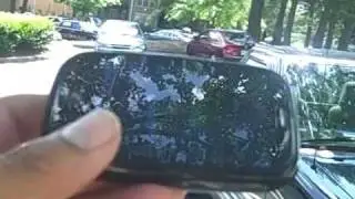 Palm Pre - Launch Day (Palmloyal.com)