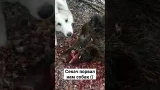 10 ноября 2022 г.