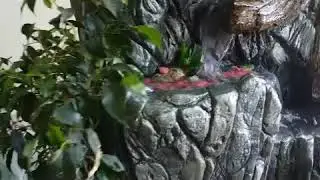 #Vadapad