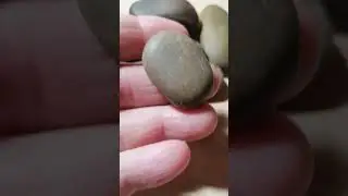 КАМУШКИ В КАРАМЕЛЬНОЙ РУБАШКЕ.... КТО ВЫ?