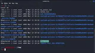 Beginners Guide to Kali Linux Part 7 -  Terminal Commands for File Management