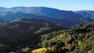 Guy Mitchell - Tennessee Waltz