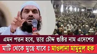 এমন পতন হবে, তার চৌদ্দ গুষ্ঠির নাম এদেশের মাটি থেকে মুছে যাবে  : মাওলানা মামুনুল হক | Mamunul Haque