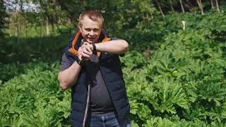 Техника Caiman для борьбы с борщевиком Сосновского