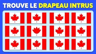 Trouve le Drapeau Différent | Apprends les Drapeaux des Pays du Monde | Facile à Impossible
