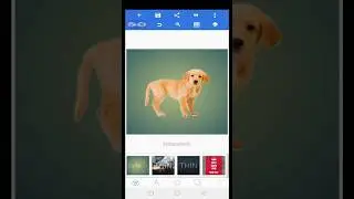 How to Lock Picture In Pixellab #shorts #pixellab