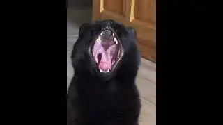 С добрым утром…