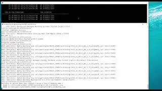 Open Standby Database for Querying
