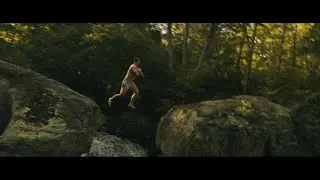 Panther Falls | BMPCC4K SHORT