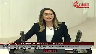 Aysu Bankoğlu 701 Sayılı OHAL KHKsi hakkında