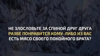 Сура 49 Al-Hujurat | Ahmed Khedr | Красивое чтение Корана