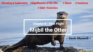 Class 10 (First Flight) - Mijbil the Otter