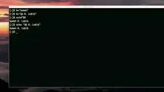 variables in variables and commands in variables (bash scripting)