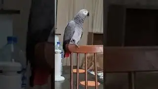 Теперь мы знаем, кто учит девочку курить